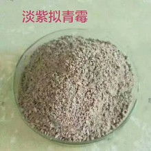 微生物肥料价格走势与市场动态 聚焦农化网第三页批发报价及甲壳素农业肥料研发销售新趋势