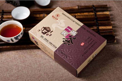 刘杏益 以甲壳素农业肥料研发，践行制茶大师的行业使命