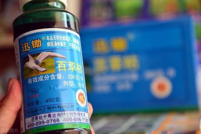 被神话的日本农业 早已举步维艰,靠农药 化肥和机械化勉强续命