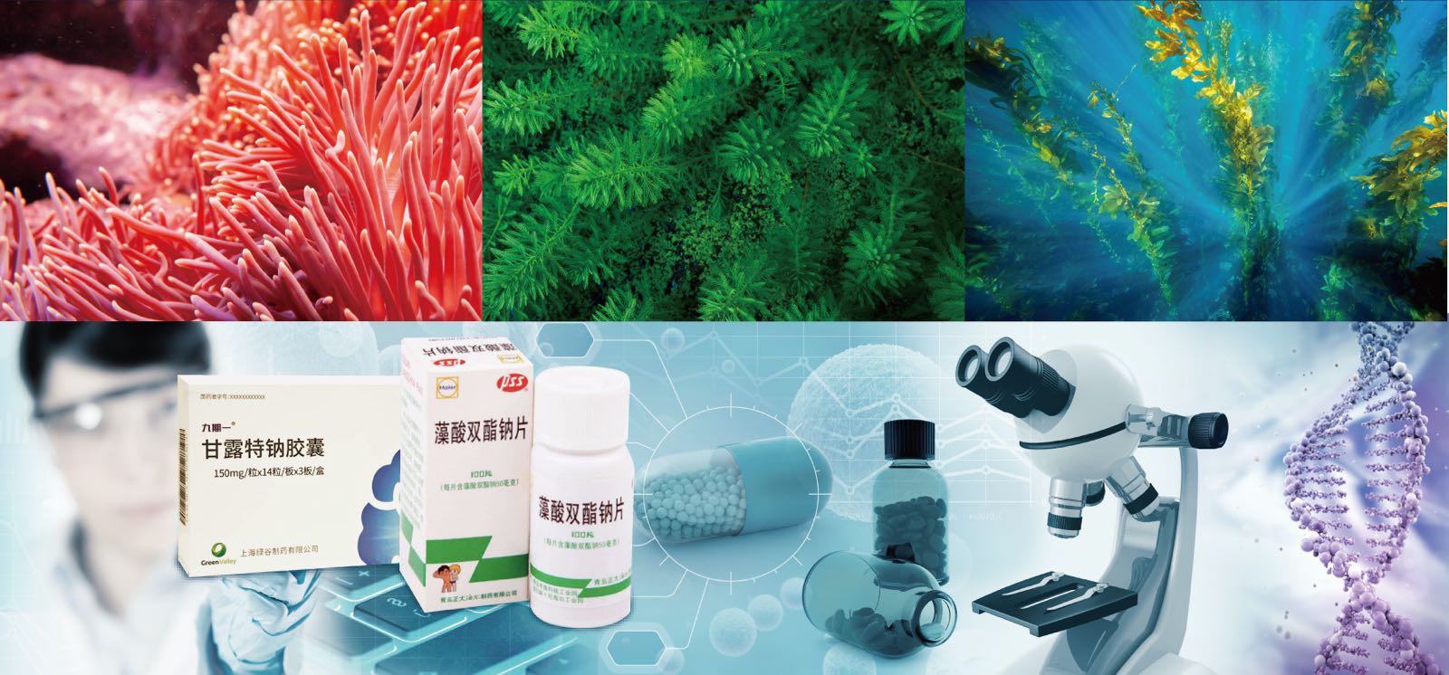 华大海洋 以企业担当引领海洋生物医药研发与生物制品创新