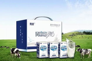 卫康 以科技创新驱动健康事业，引领甲壳素农业肥料新潮流